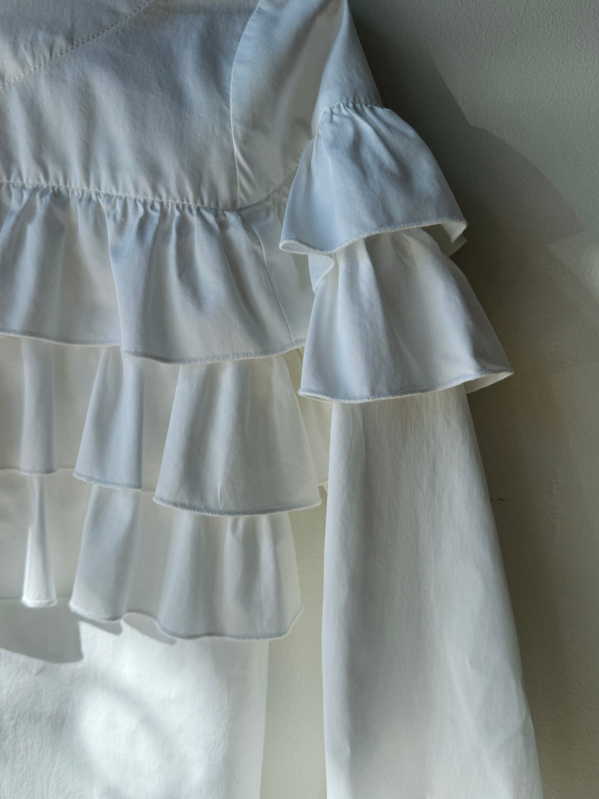 Designer Ruffle Blouse